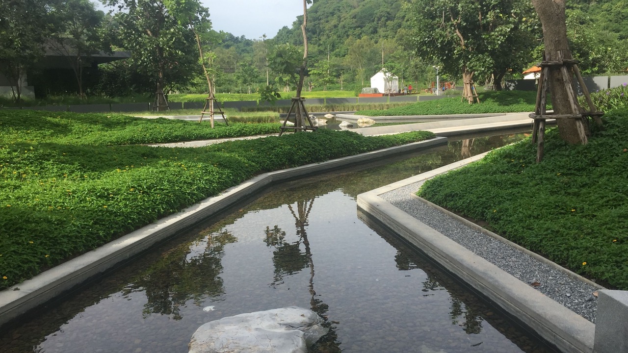 Photo of Others in Phaya Yen