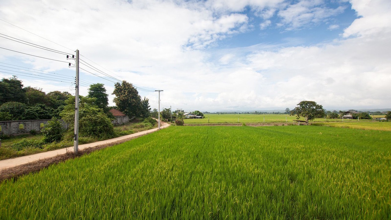 Photo of Others in Mae Faek Mai