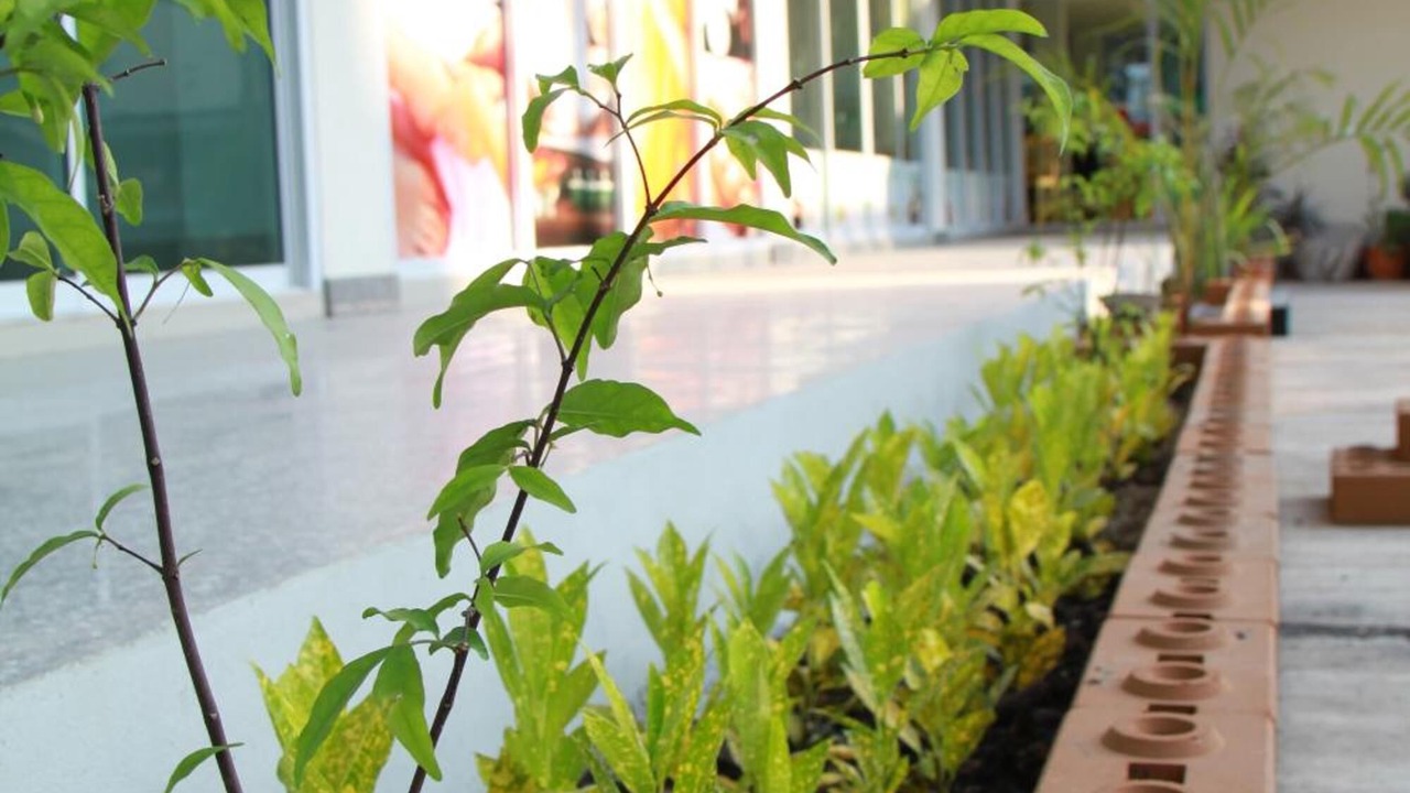 Photo of Outdoor in Udon Thani