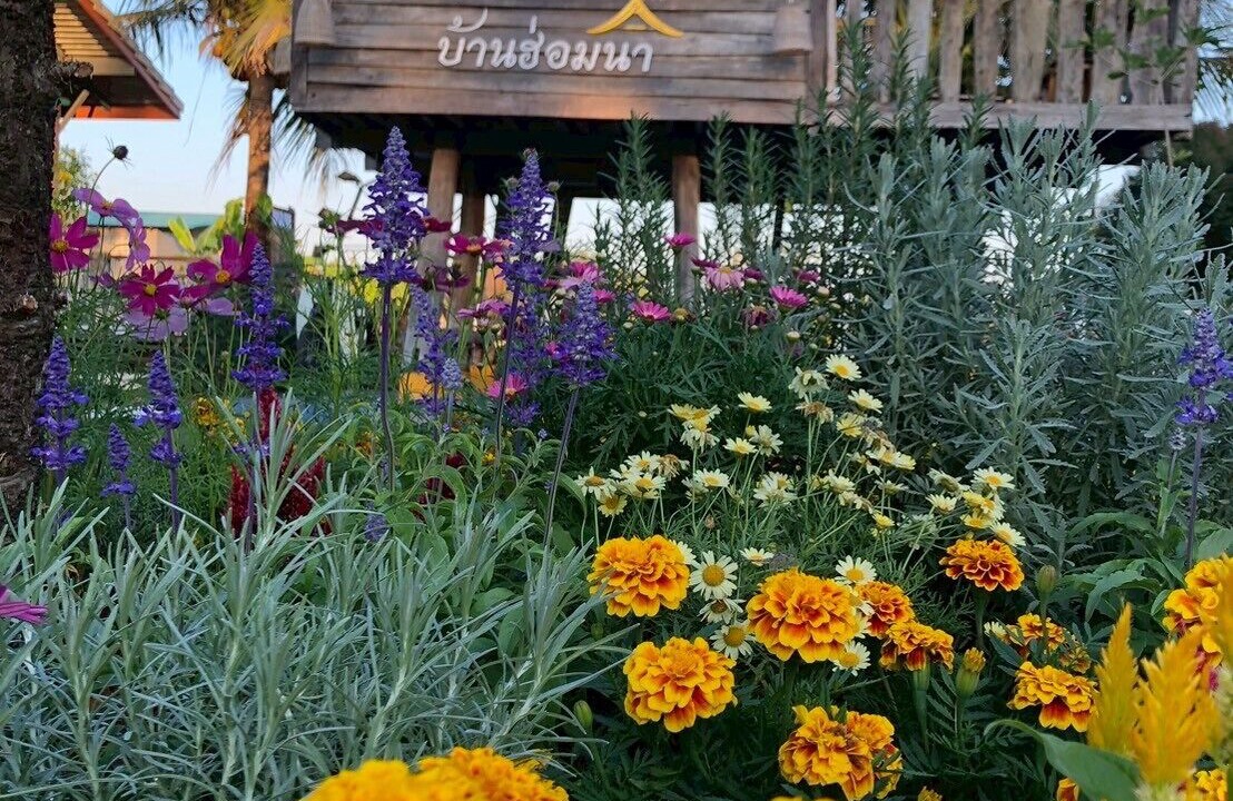 Photo of Outdoor in San Pu Loei