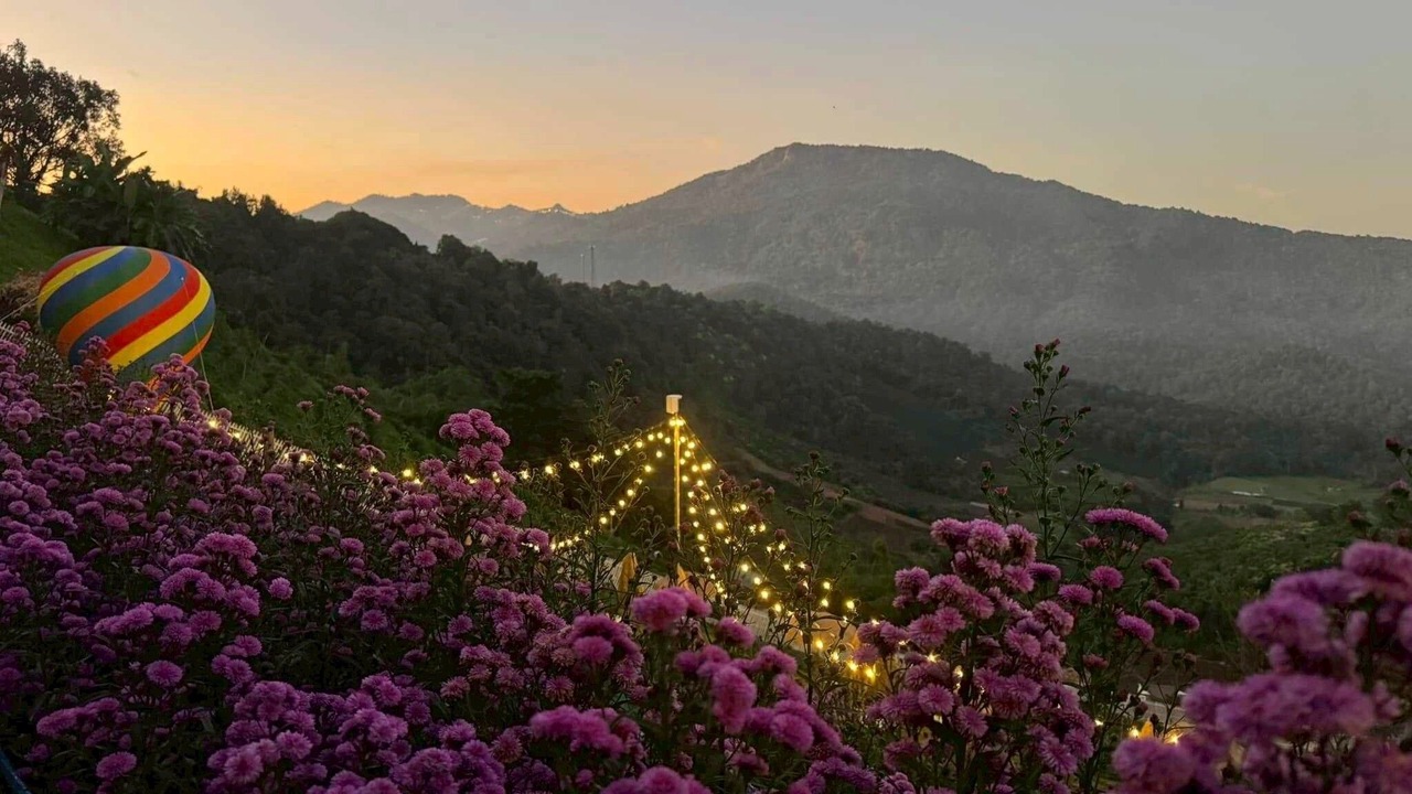 Photo of Outdoor in Pong Yaeng
