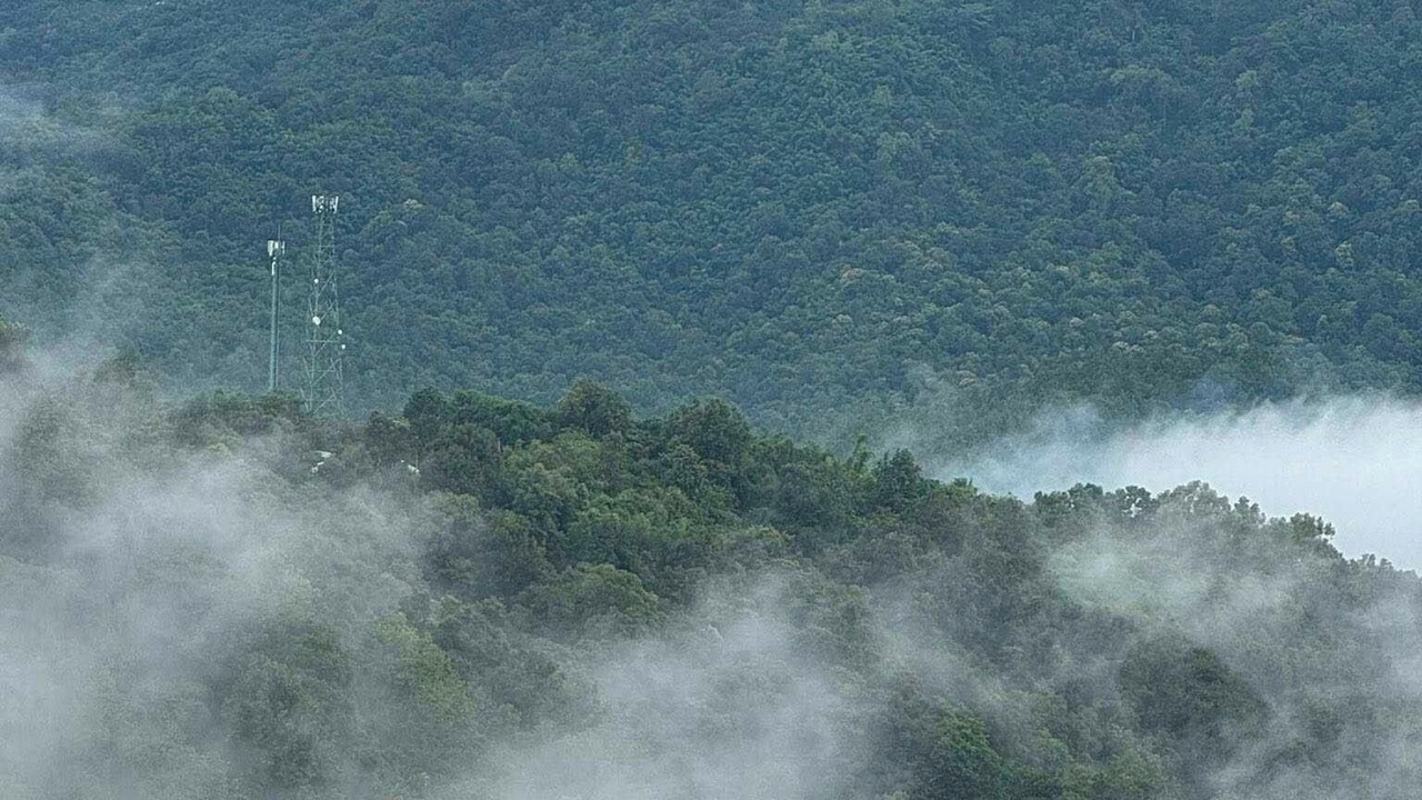 Photo of Outdoor in Pong Yaeng