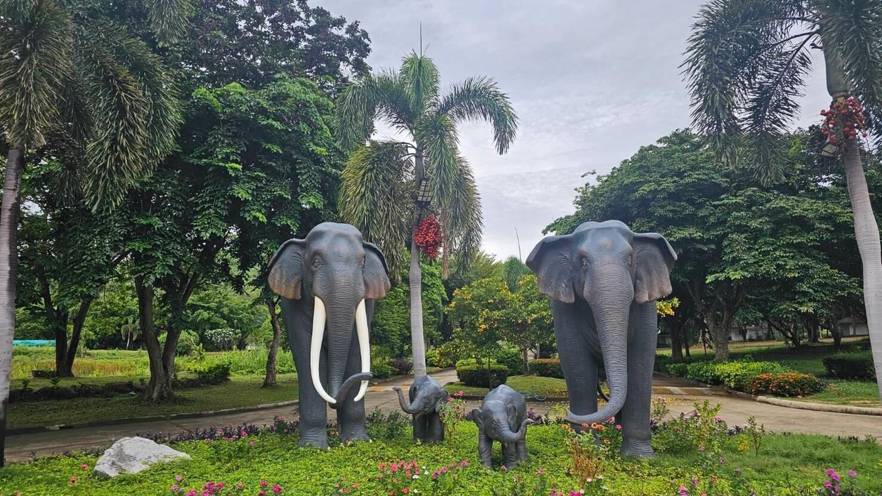 Photo of Outdoor in Kaeng Krachan