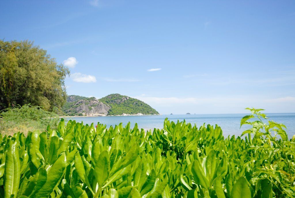 Photo of Outdoor in Pak Nam Pran