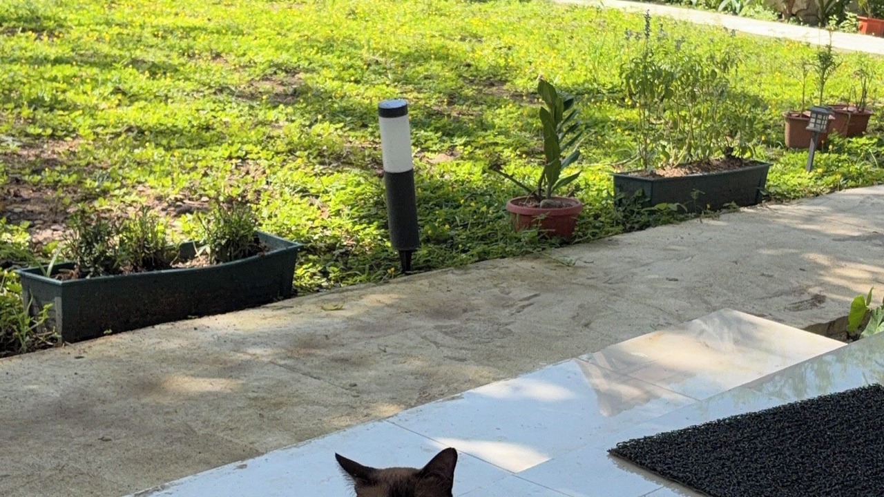 Photo of Outdoor in Pai