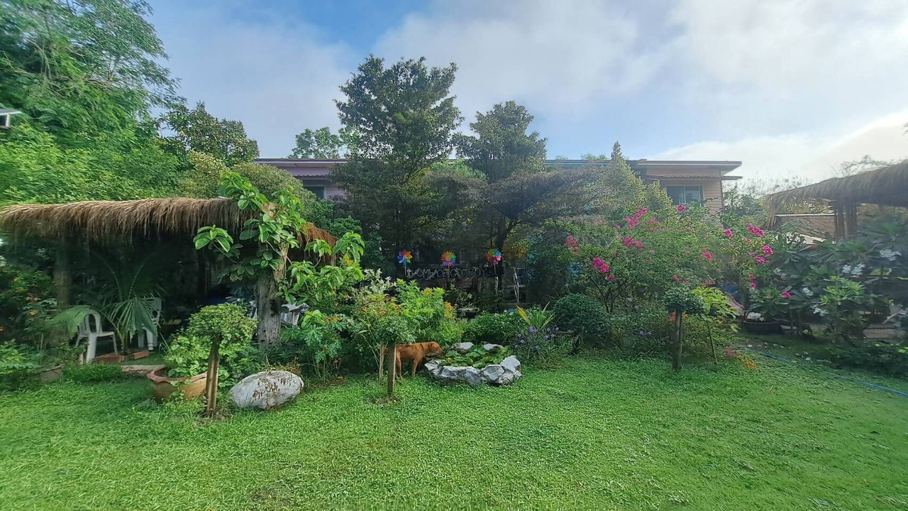 Photo of Outdoor in Khlong Luang