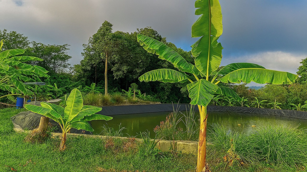 Photo of Outdoor in Karon