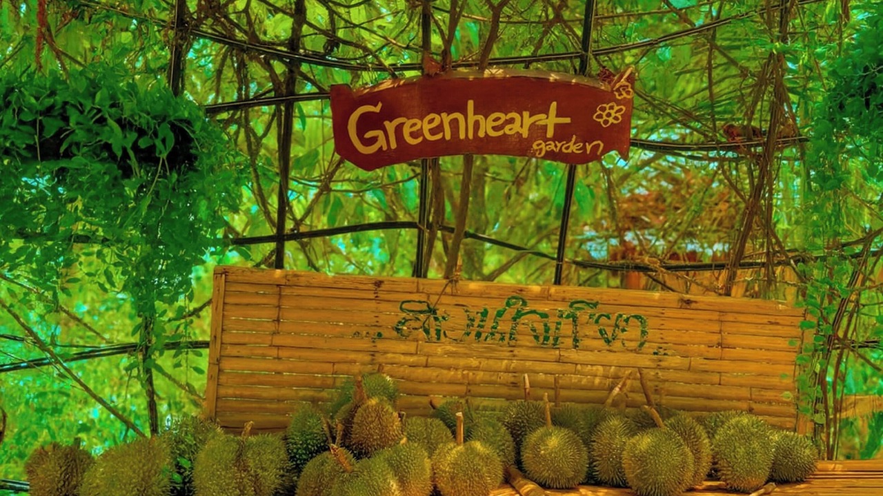 Photo of Outdoor in Karon