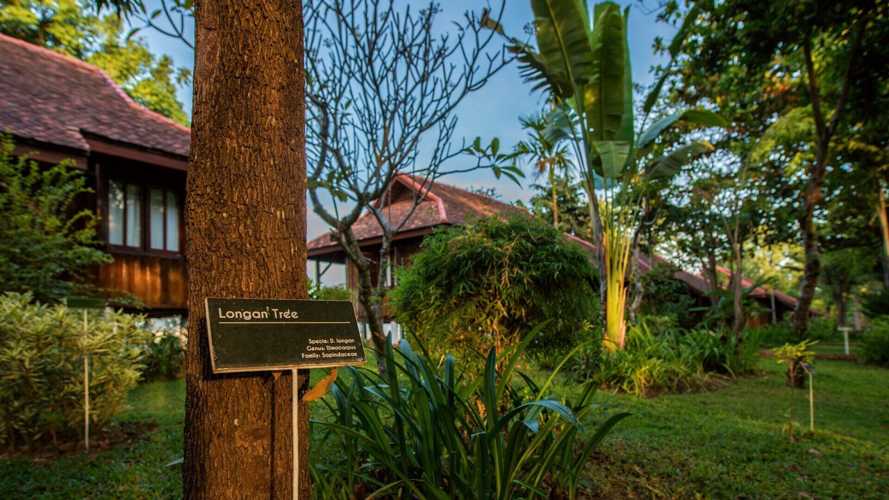 Photo of Outdoor in Pathouphone