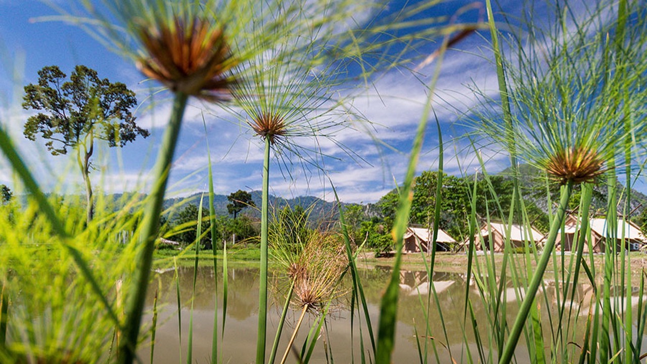 Photo of Others in Mu Si