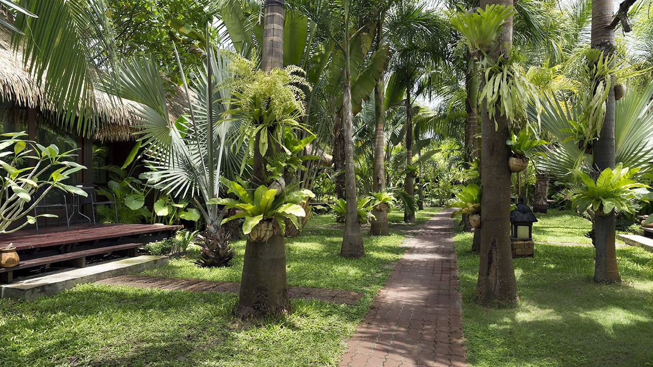 Photo of Outdoor in Satun