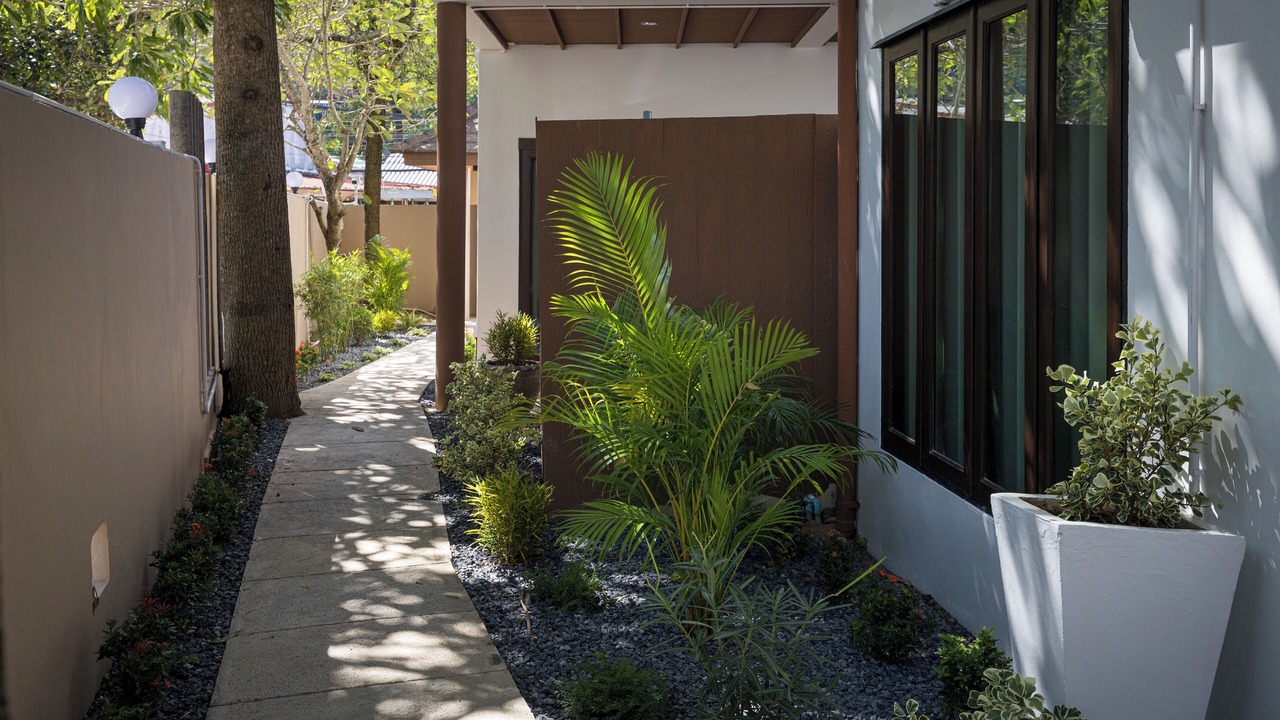 Photo of Outdoor in Kata