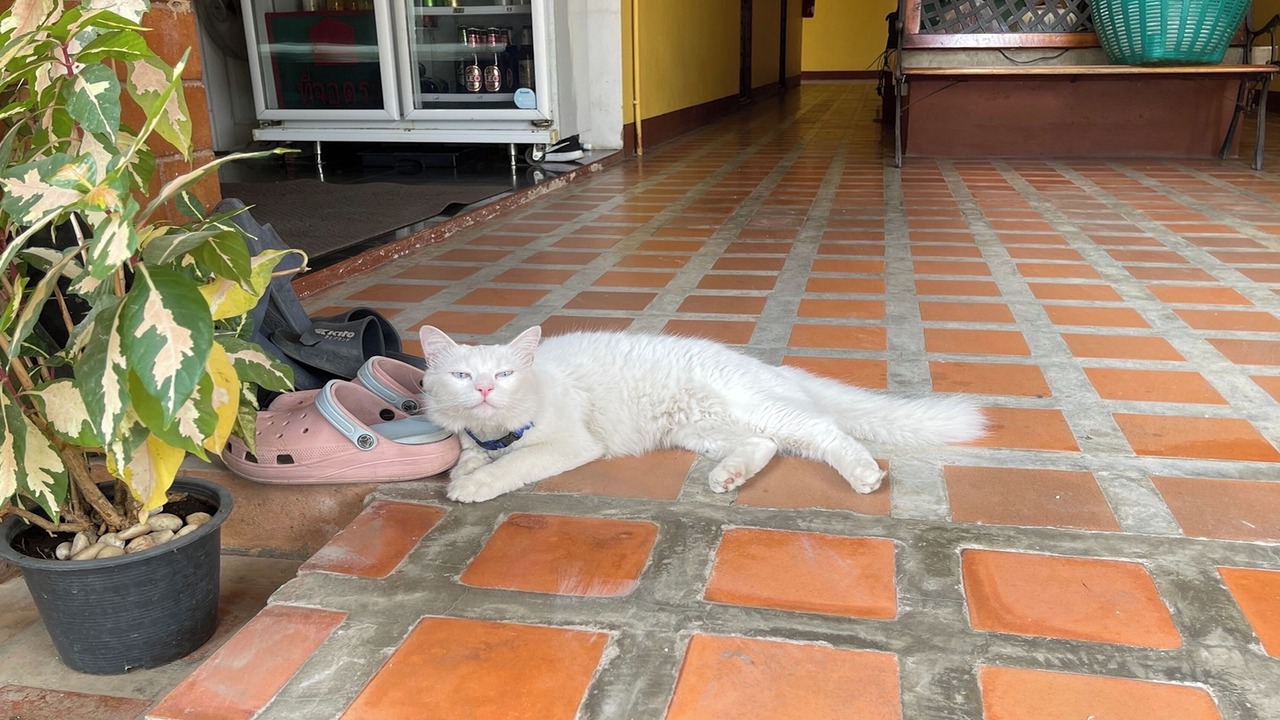 Photo of Others in Lampang