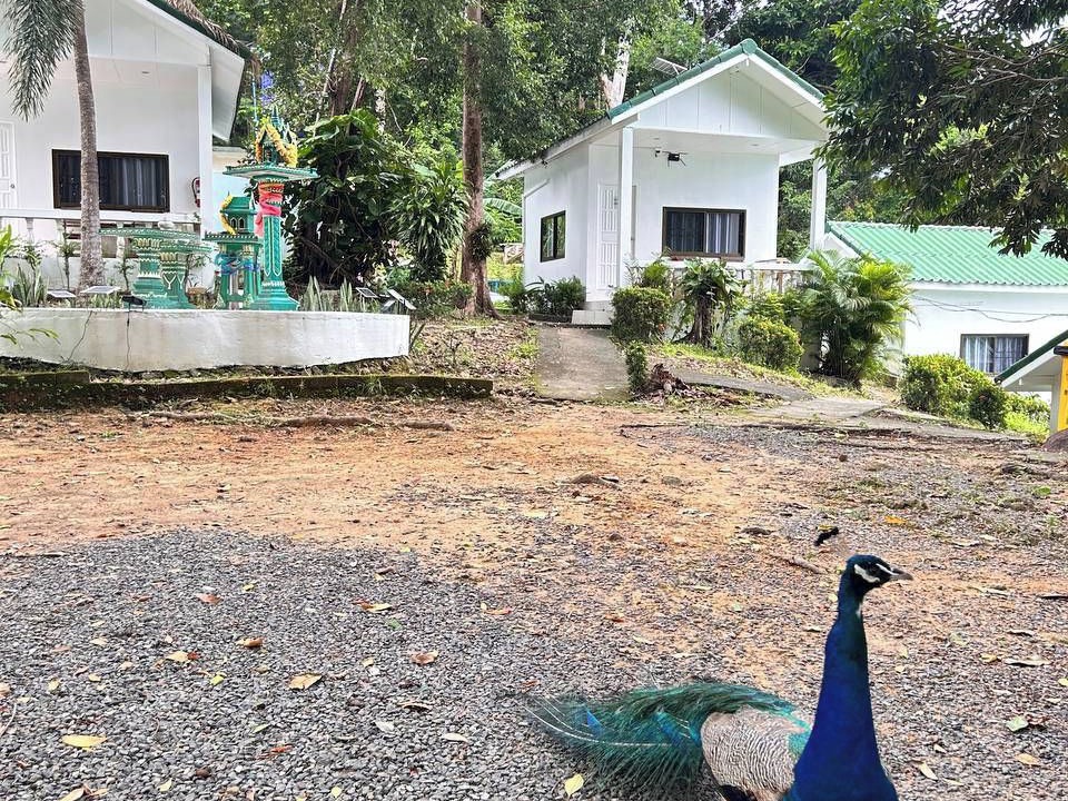Photo of Outdoor in Ko Chang
