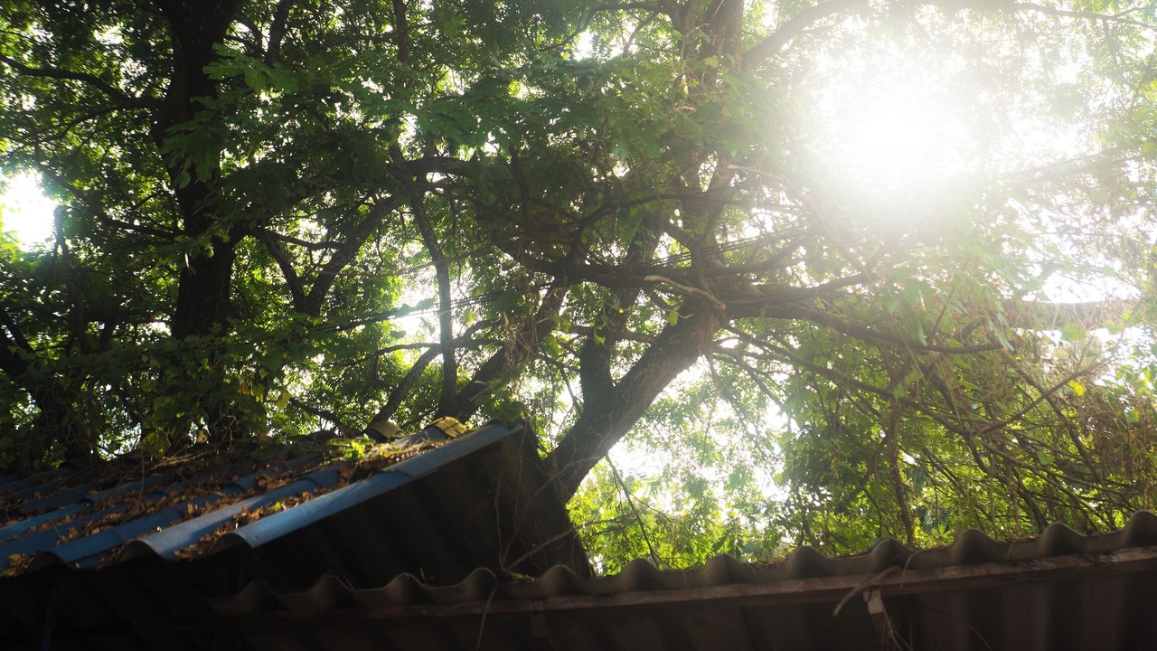 Photo of Outdoor in Ban Luang