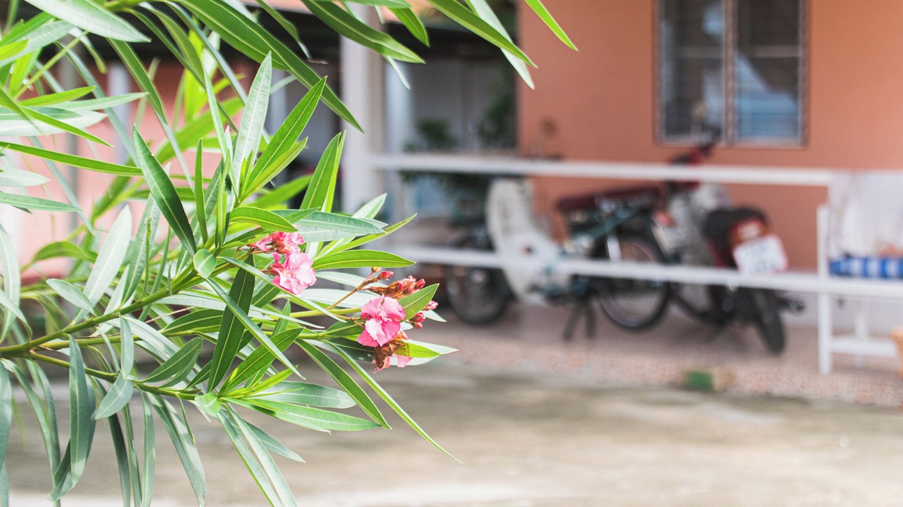 Photo of Outdoor in Ban Luang