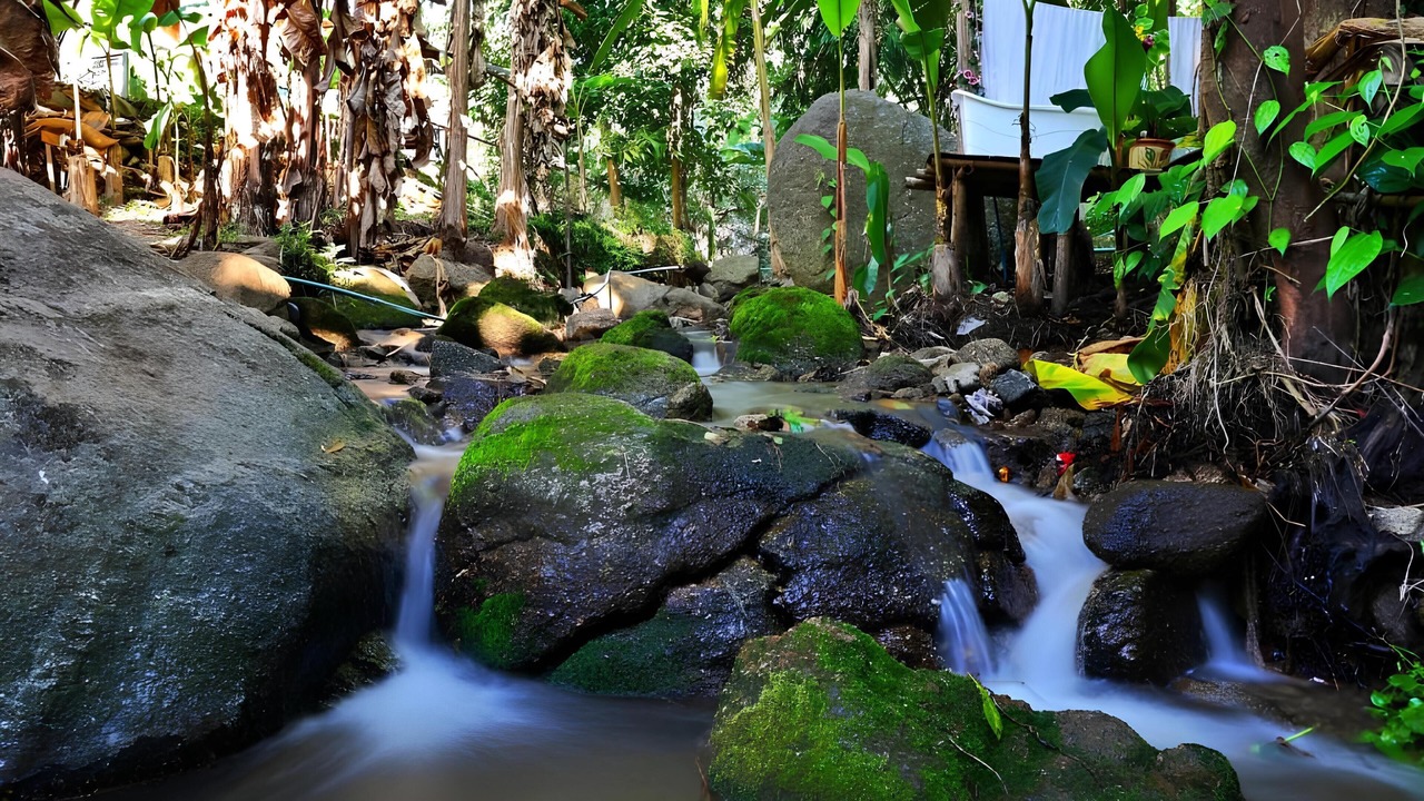 Photo of Outdoor in Mae Taeng