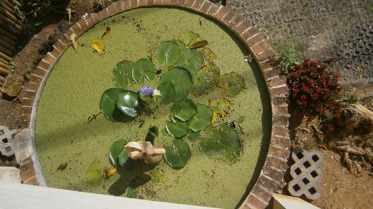 Photo of Outdoor in Kata