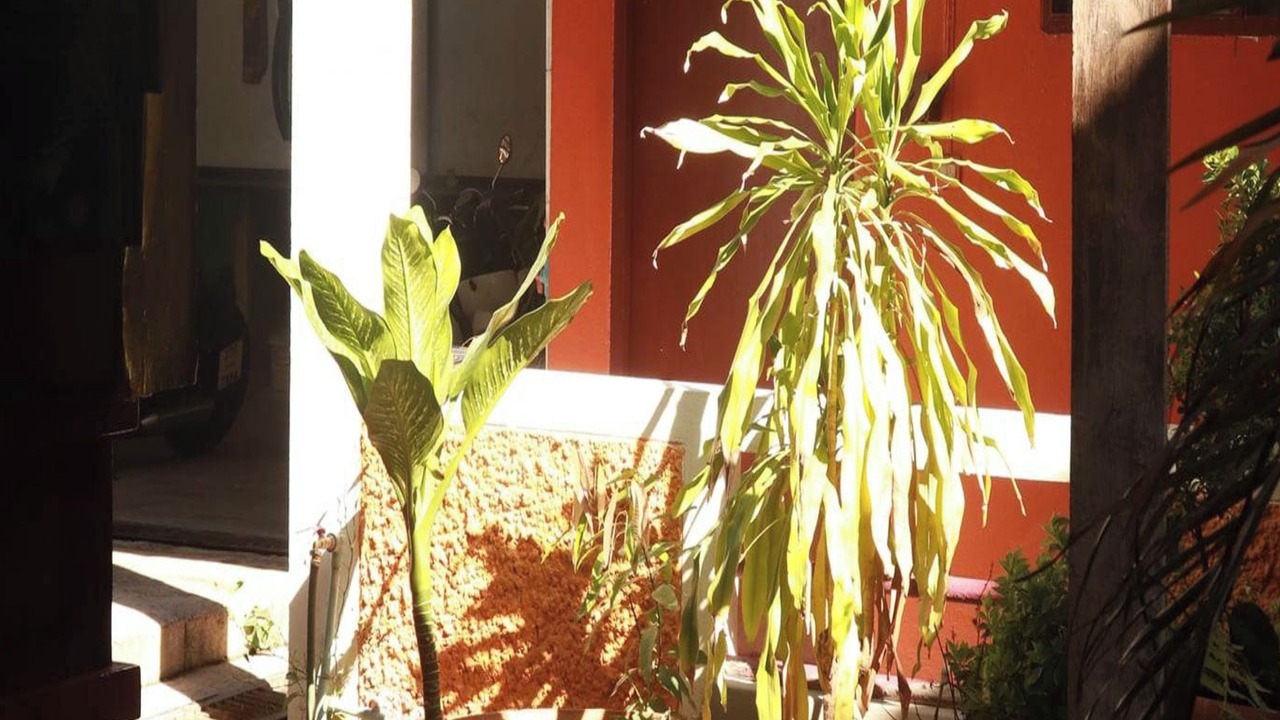 Photo of Outdoor in Chang Khlan