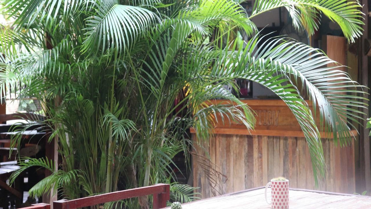 Photo of Outdoor in Chang Khlan