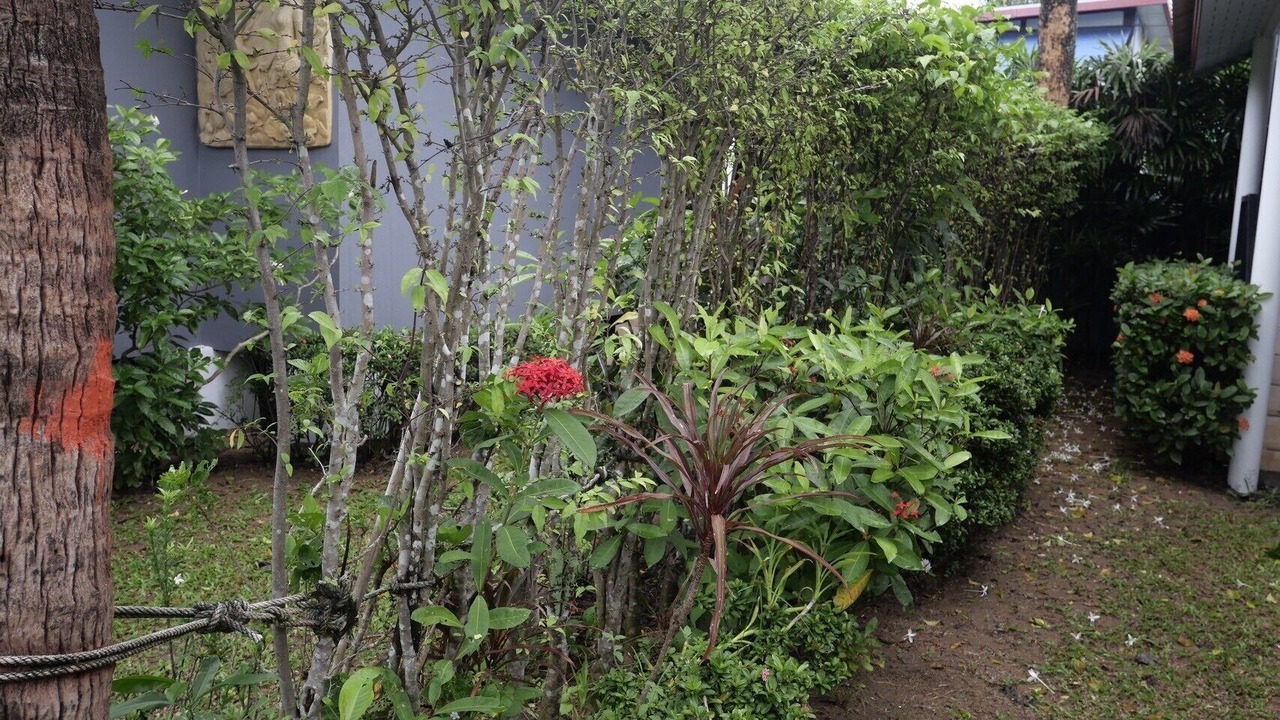 Photo of Outdoor in Bophut Hills