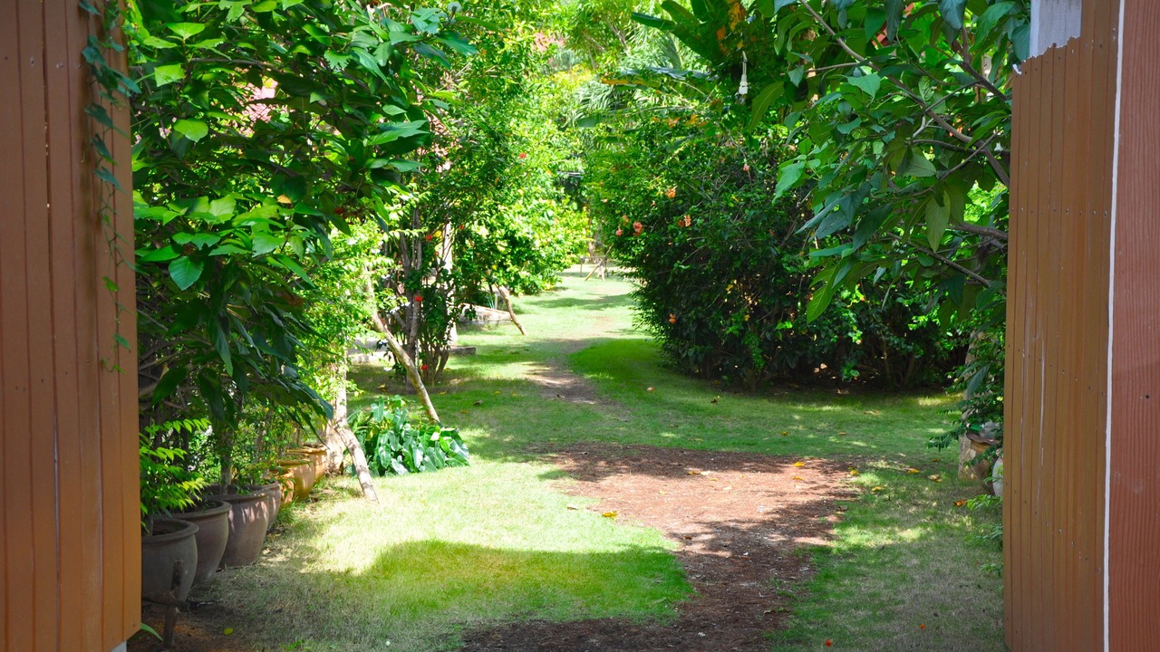 Photo of Outdoor in Haad Rin