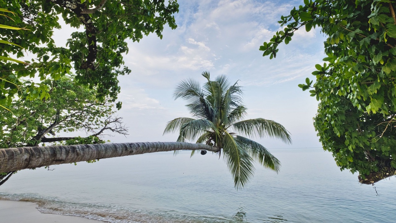 Photo of Others in Ko Chang
