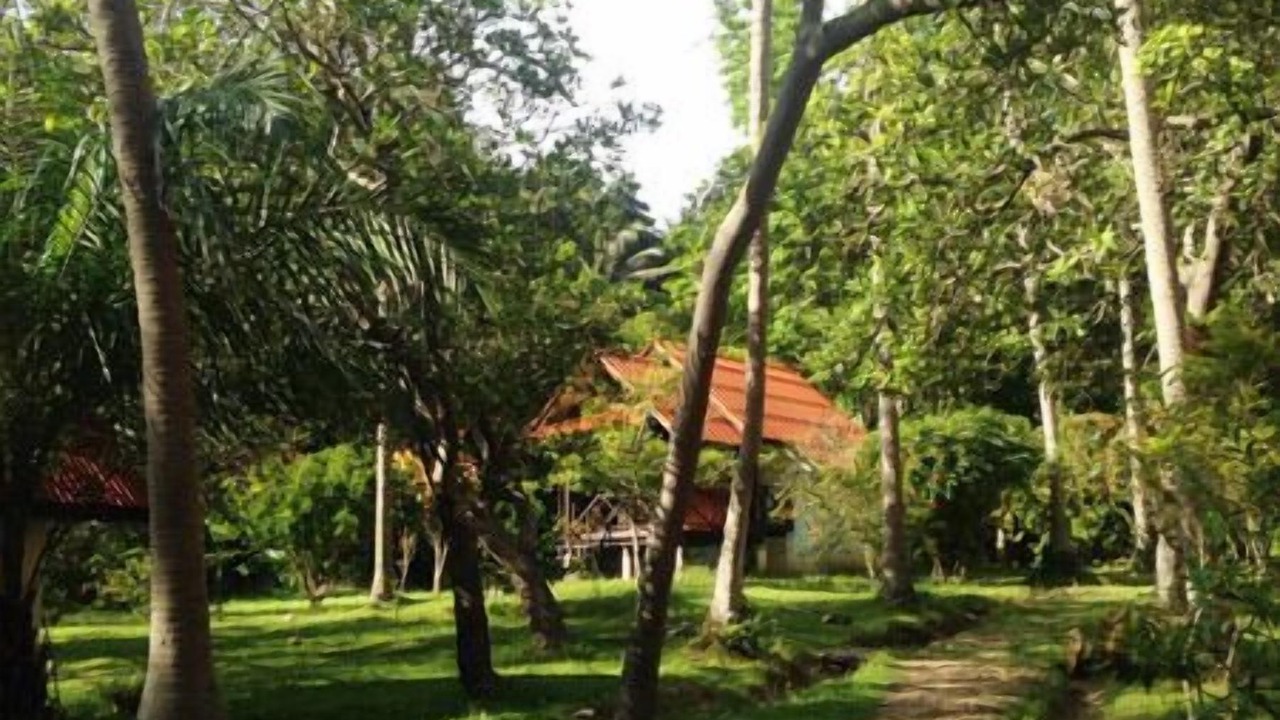Photo of Outdoor in Nuea Khlong