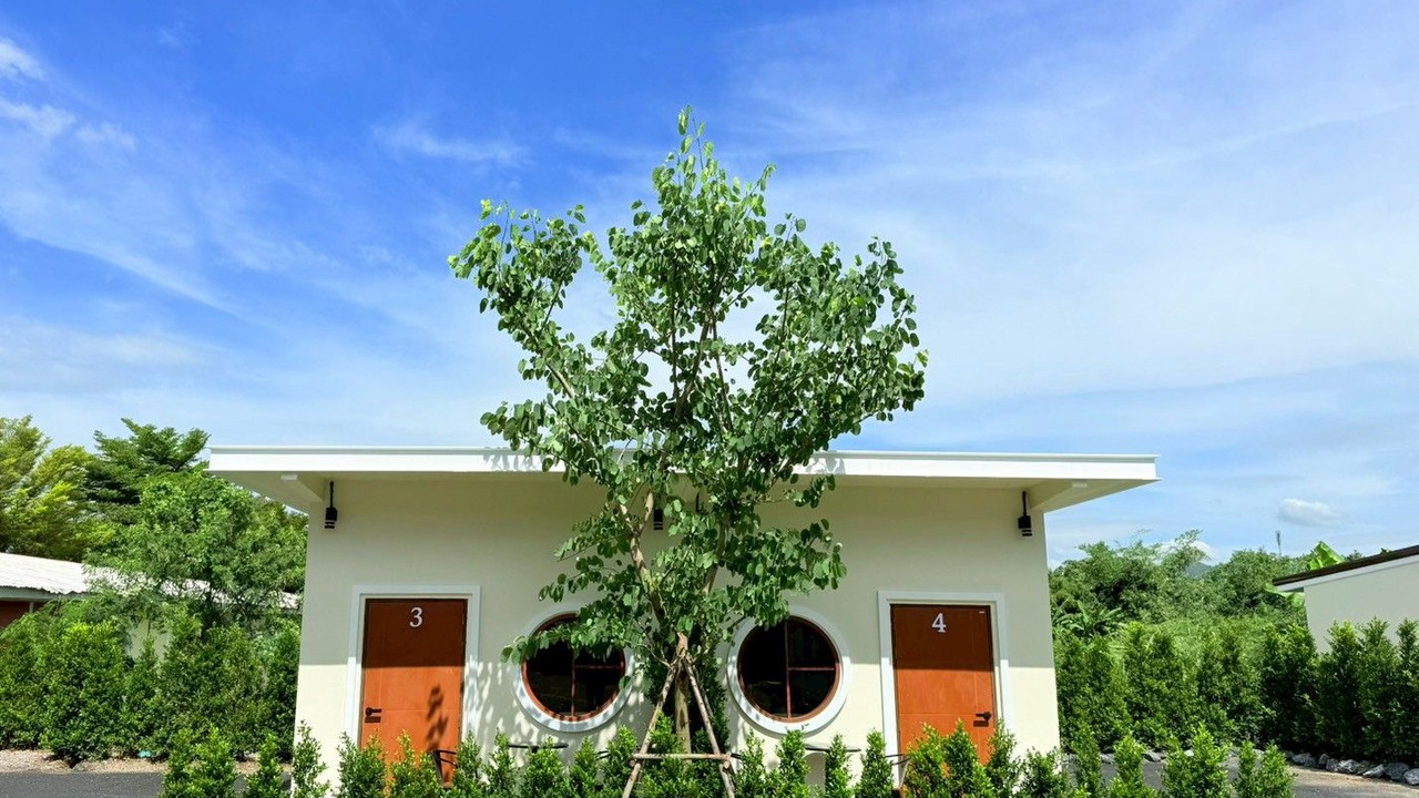 Photo of Outdoor in Thap Kwang