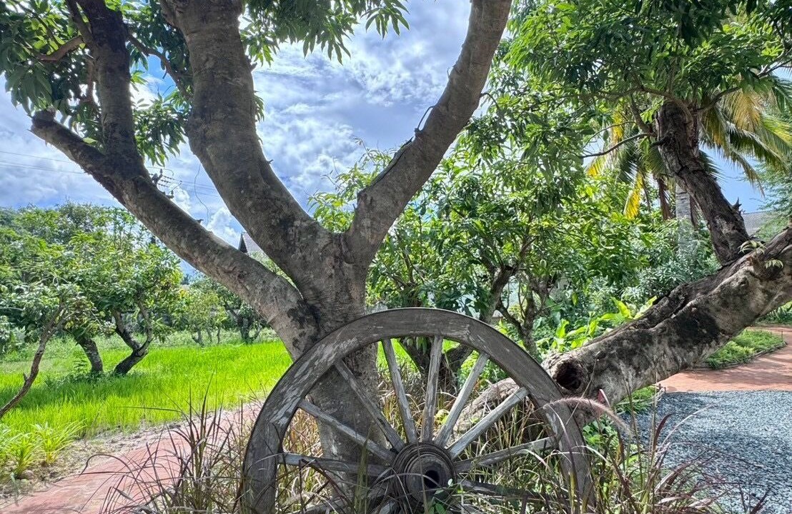 Photo of Outdoor in Mae Rim