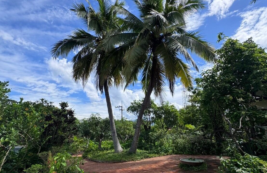 Photo of Outdoor in Mae Rim