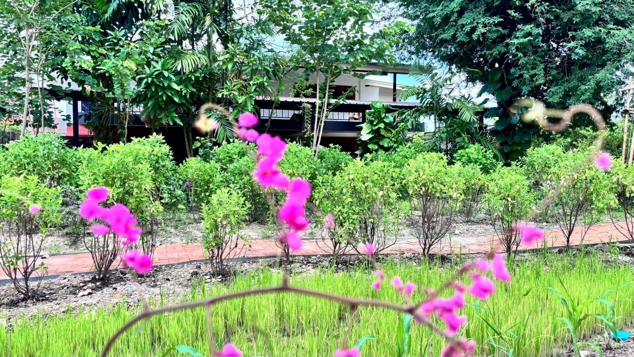 Photo of Outdoor in Mae Rim