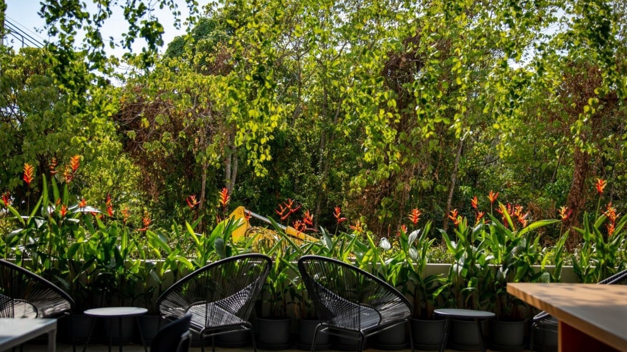 Photo of Outdoor in Mai Khao
