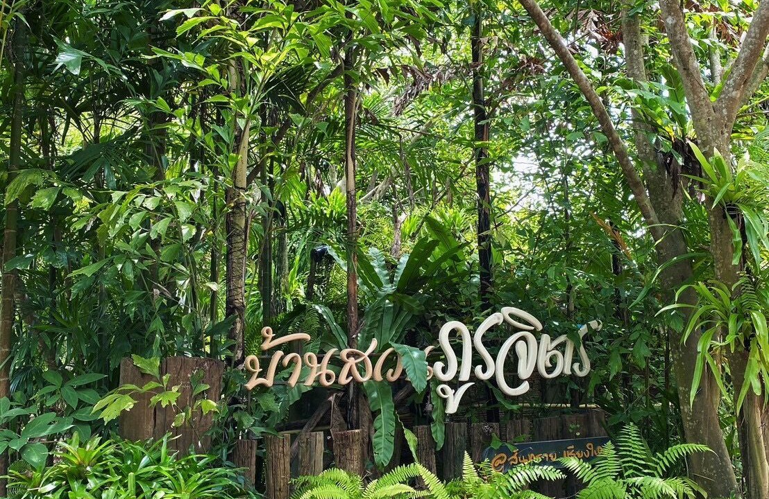 Photo of Outdoor in Mae Faek Mai