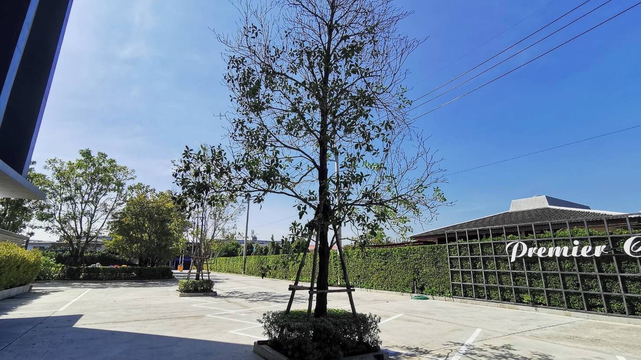 Photo of Outdoor in Chonburi