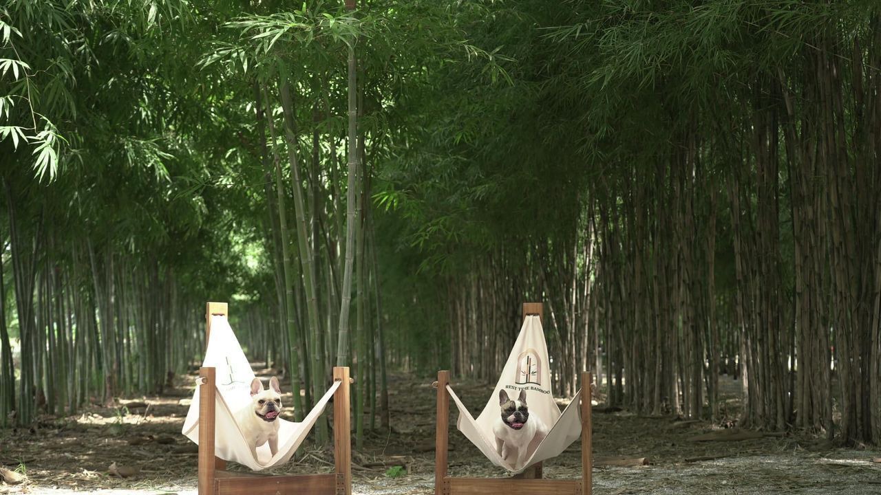 Photo of Outdoor in Phra Phutthabat