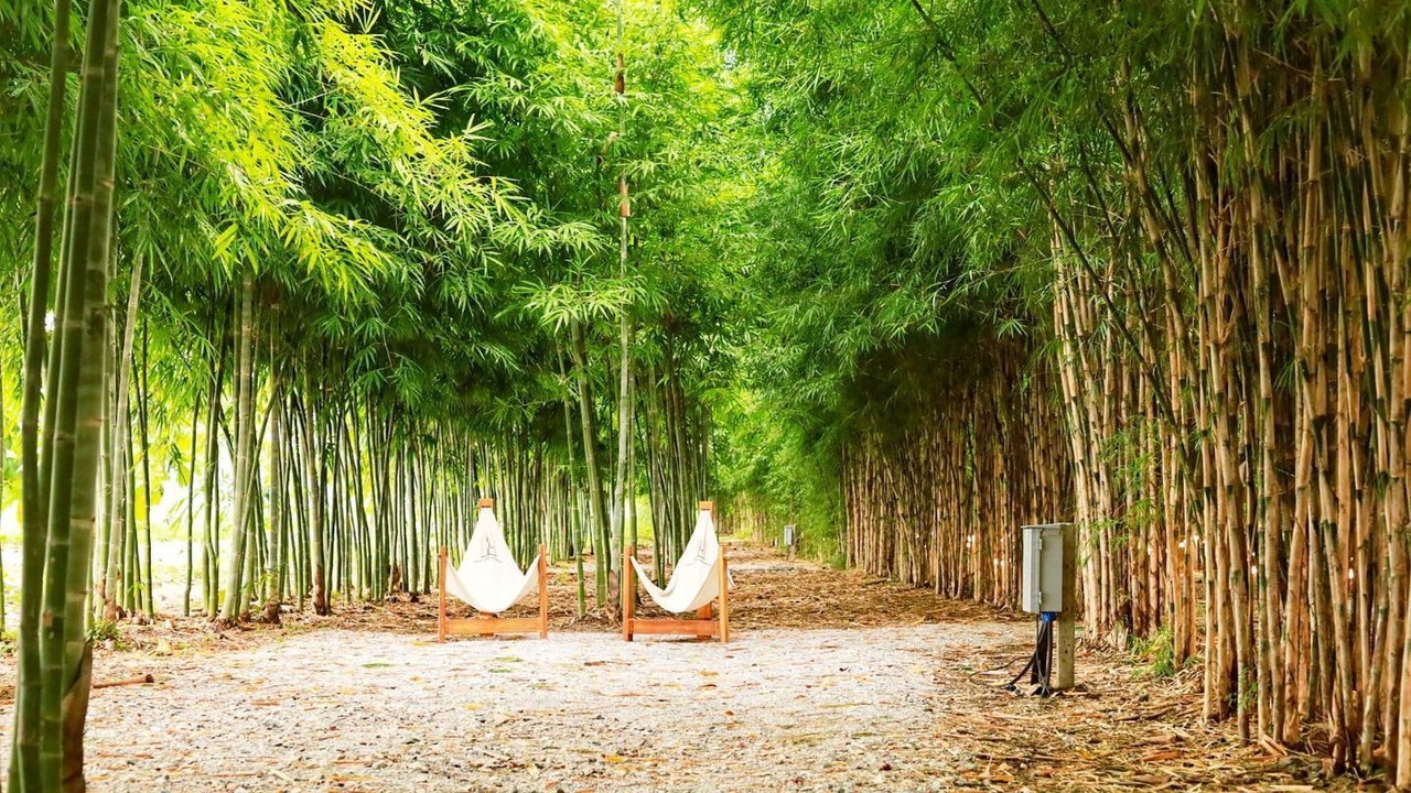 Photo of Outdoor in Phra Phutthabat