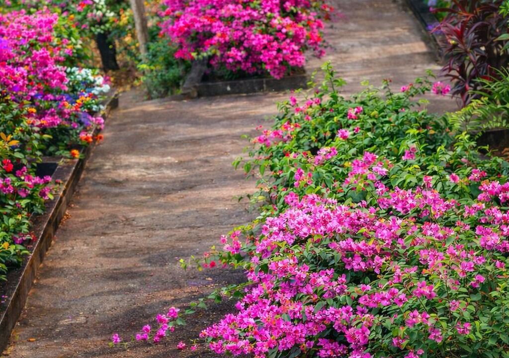 Photo of Outdoor in Nang Lae