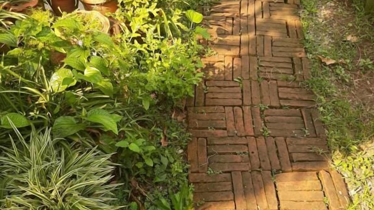 Photo of Outdoor in Thon Buri