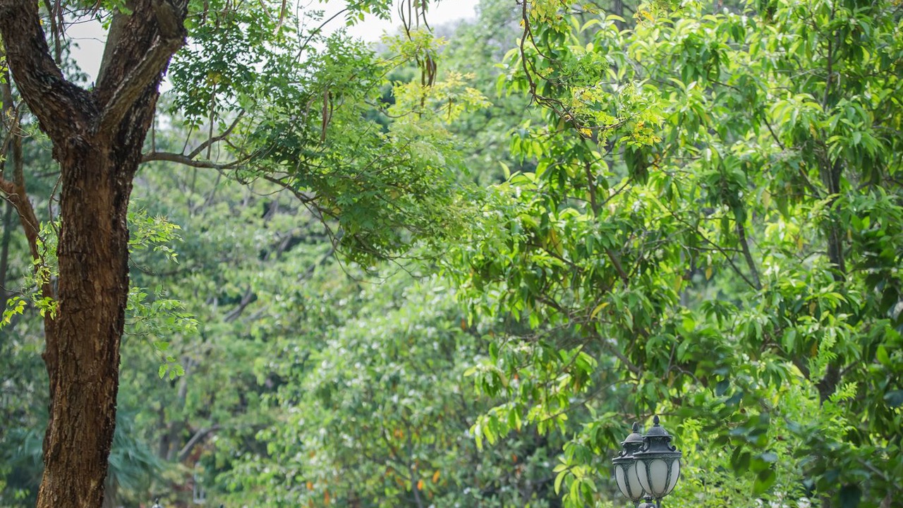 Photo of Outdoor in Khanong Phra