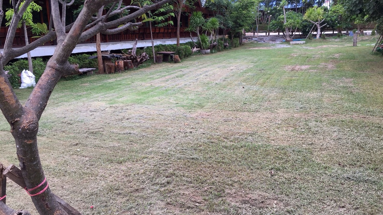 Photo of Outdoor in Ban Tai