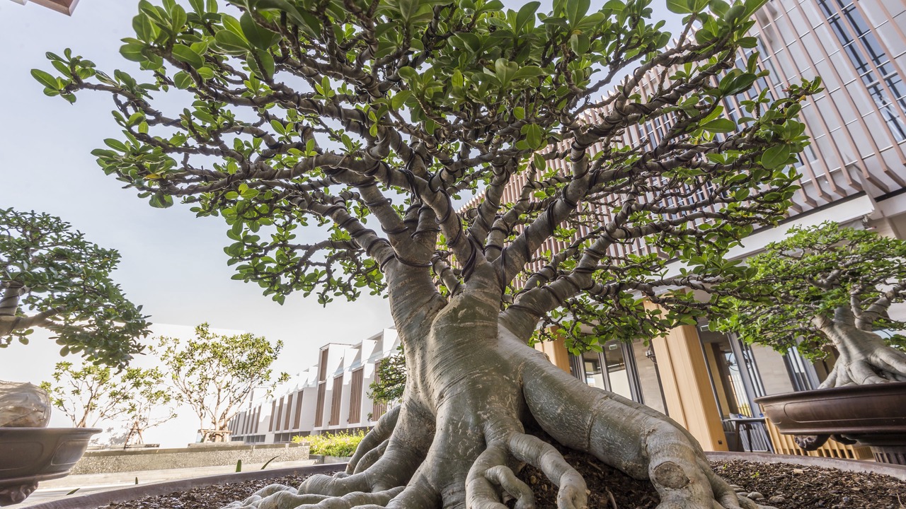 Photo of Outdoor in Hua Hin
