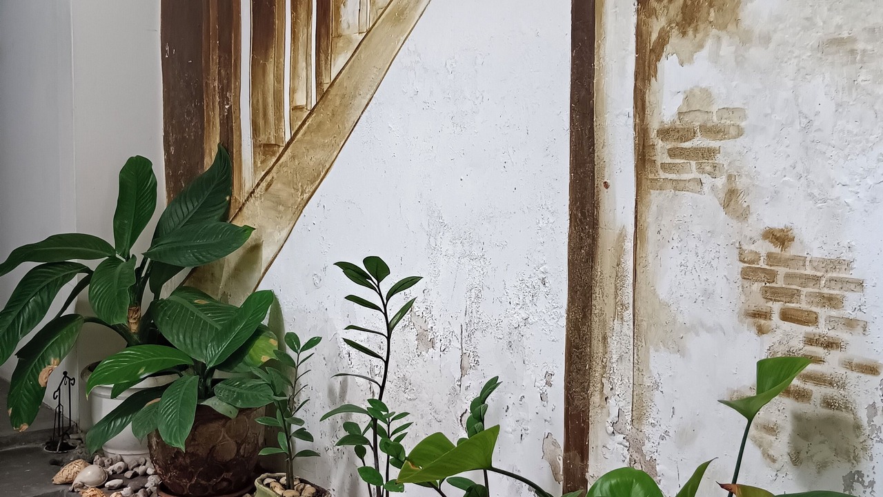 Photo of Others in Old Phuket Town