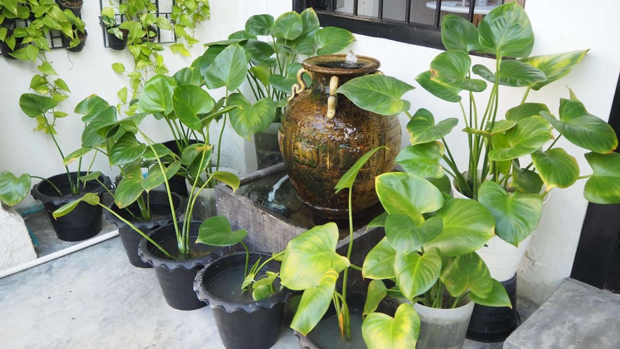 Photo of Outdoor in Old Phuket Town
