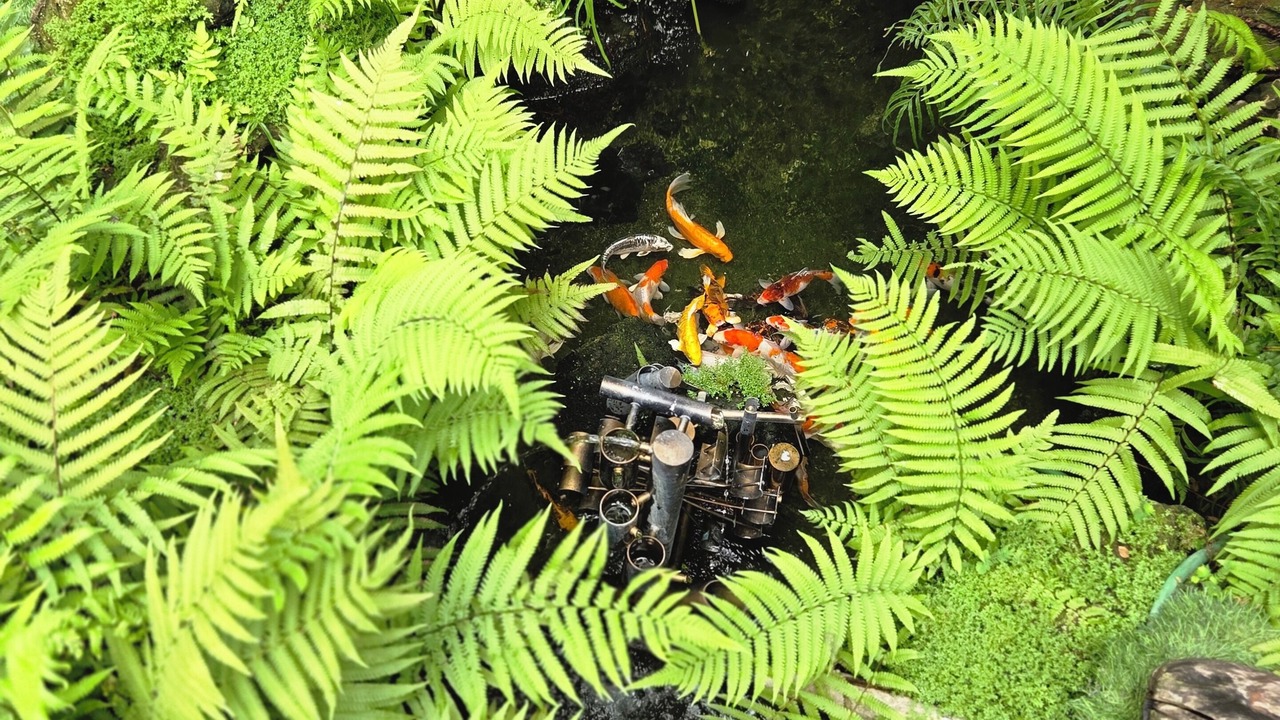 Photo of Outdoor in Ratchathewi