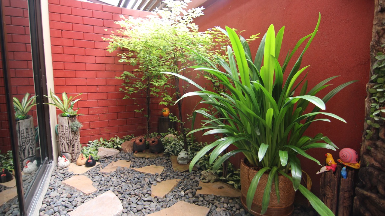 Photo of Outdoor in Thapae