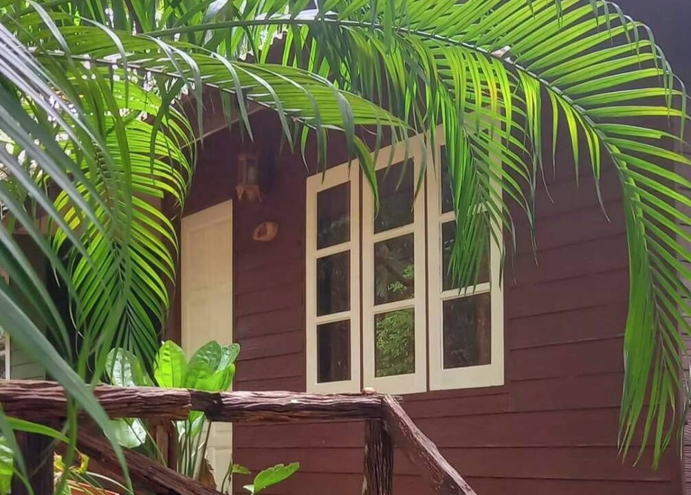 Photo of Outdoor in Khlong Khut