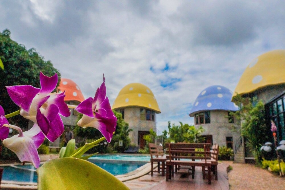 Photo of Outdoor in Nong Nam Daeng