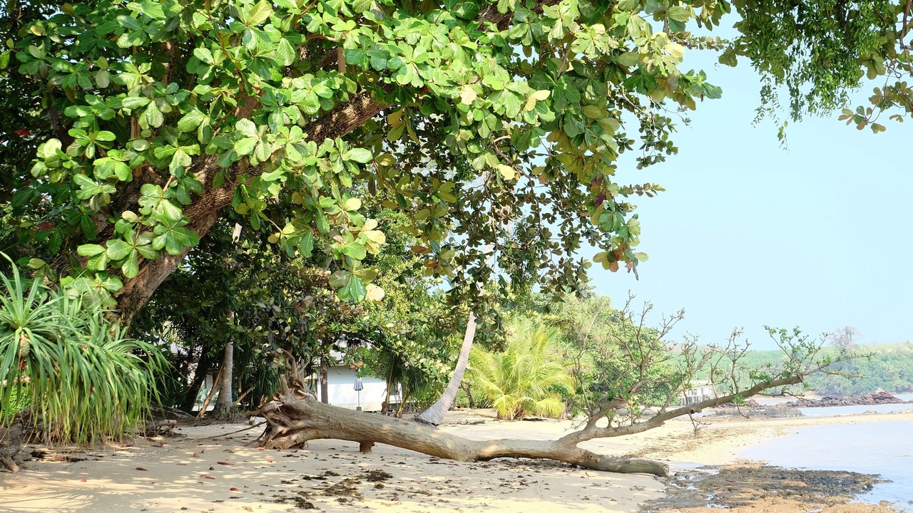 Photo of Others in Ko Mak
