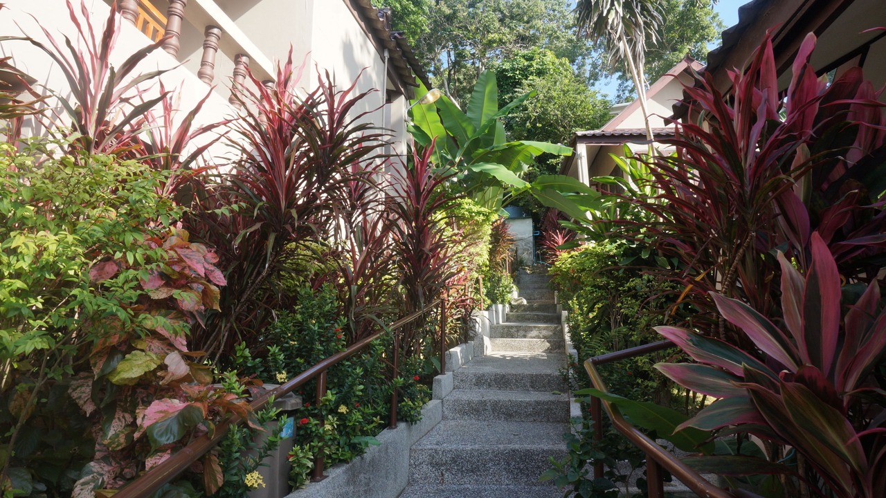 Photo of Outdoor in Kata